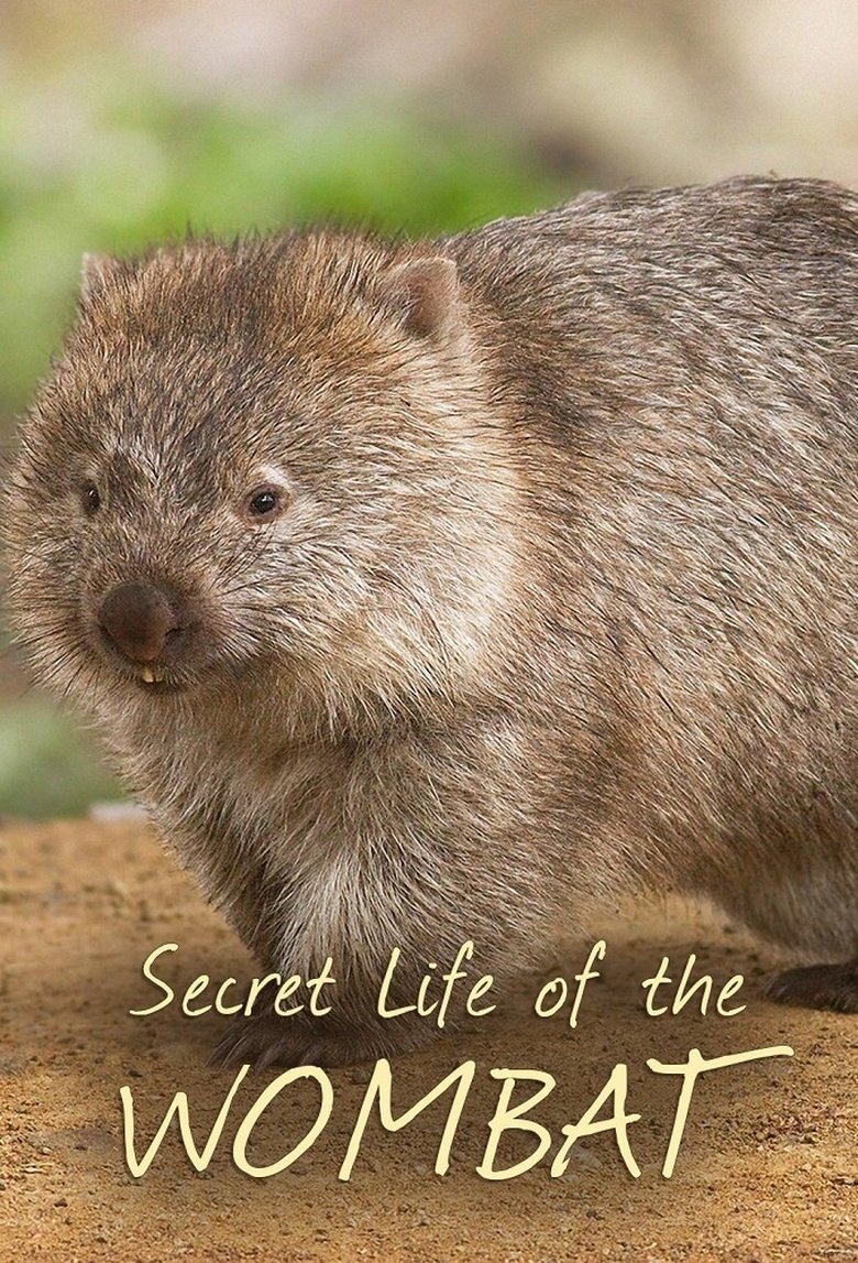 Episodes in Secret Life Of The Wombat - Season 1 - Season 1 Poster of Episodes in Secret Life Of The Wombat - Season 1 - Season 1
