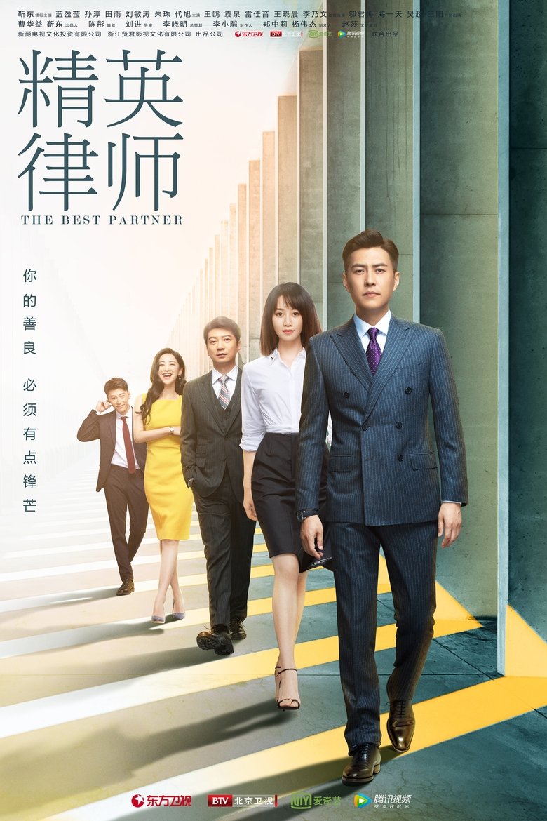 The Best Partner Poster of The Best Partner