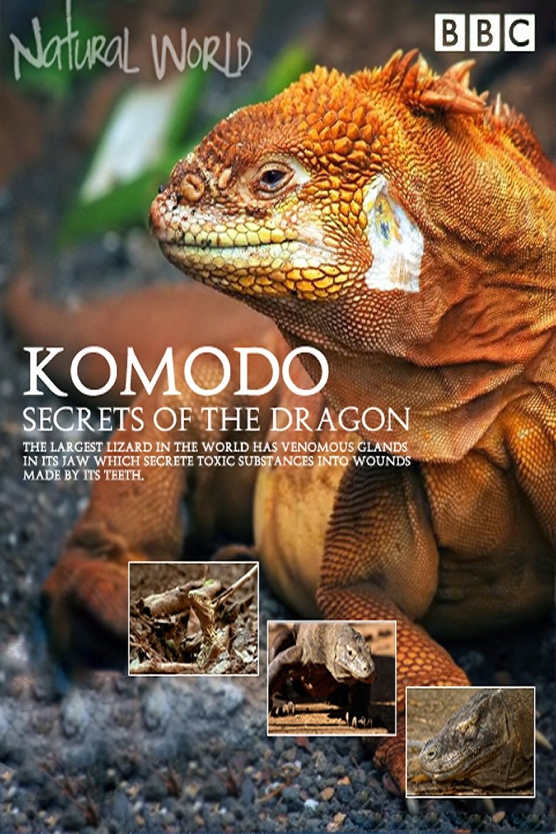 Episodes in Natural World - Season 31 - Season 31 Poster of Episodes in Natural World - Season 31 - Season 31