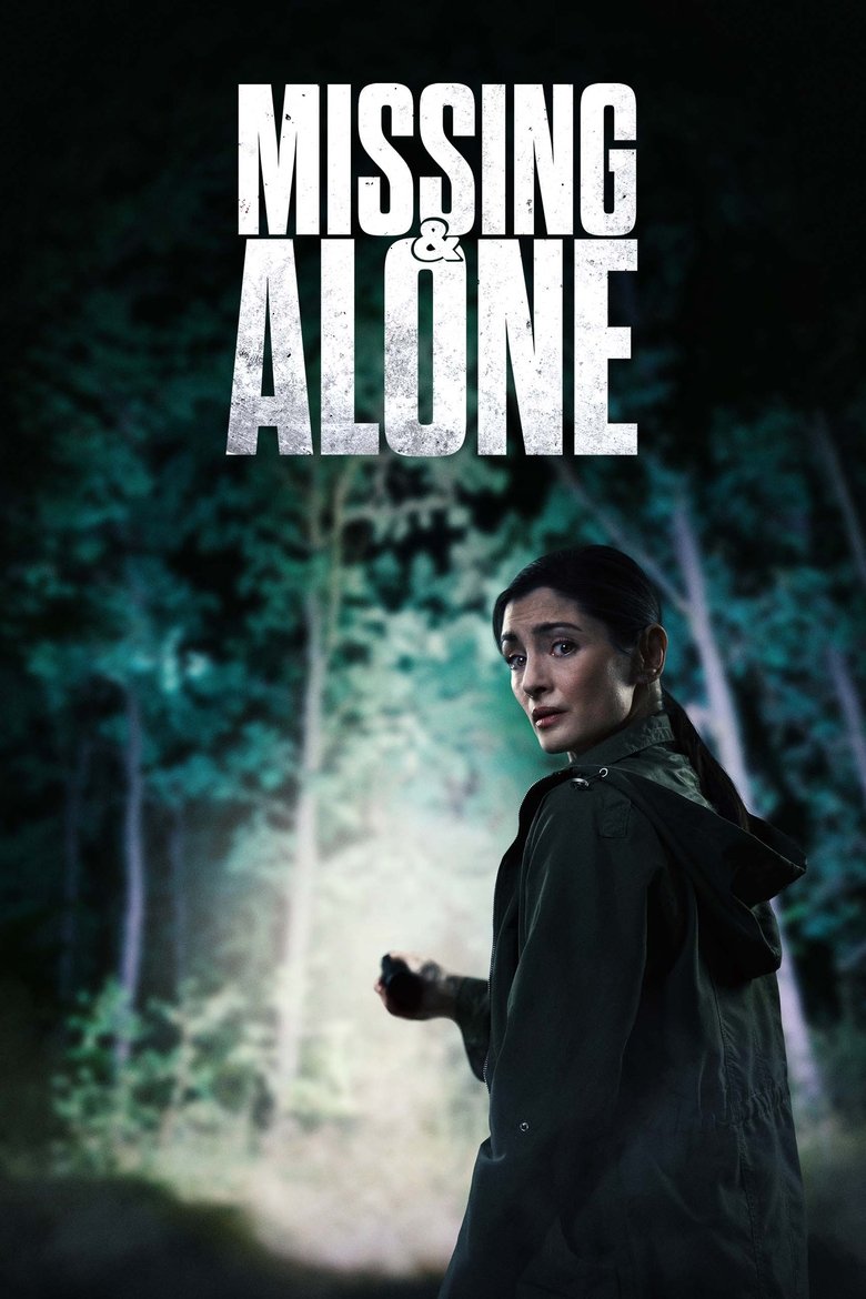 Missing and Alone Poster of Missing and Alone