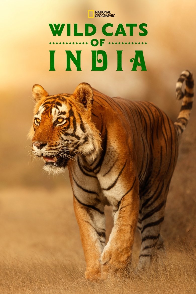 Episodes in Wild Cats Of India - Season 1 - Season 1 Poster of Episodes in Wild Cats Of India - Season 1 - Season 1