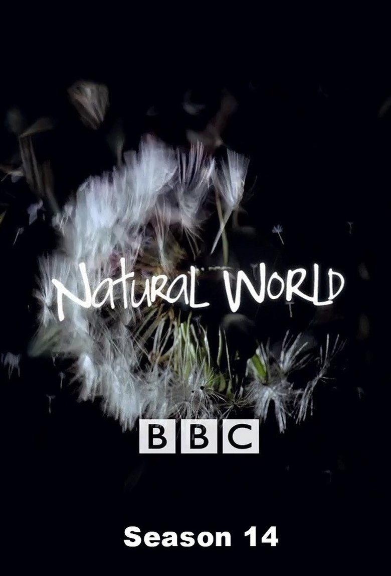 Cast and Crew in Natural World - Echo of the Elephants: The Next Generation (Season 14 - Episode 1) - Echo of the Elephants: The Next Generation Poster of Cast and Crew in Natural World - Echo of the Elephants: The Next Generation (Season 14 - Episode 1) - Echo of the Elephants: The Next Generation