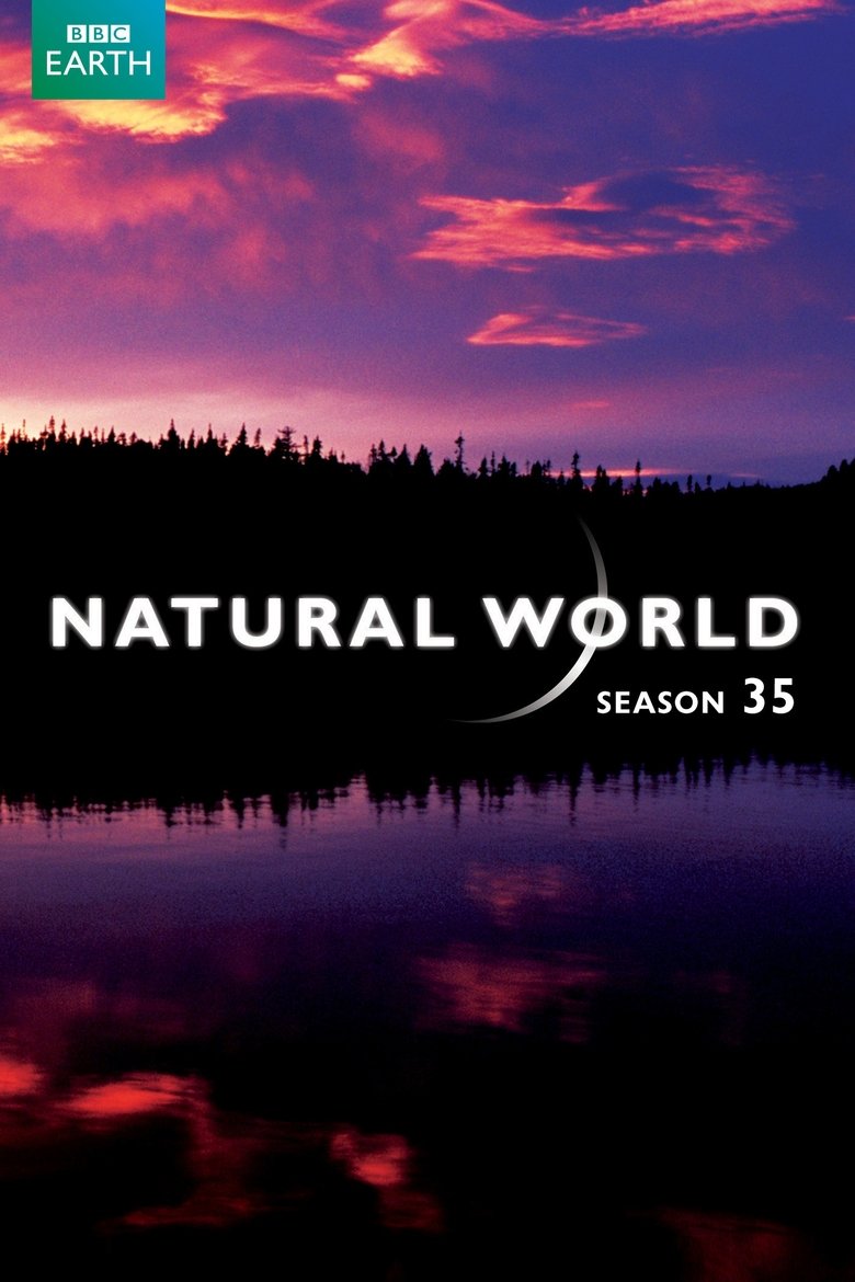 Episodes in Natural World - Season 35 - Season 35 Poster of Episodes in Natural World - Season 35 - Season 35