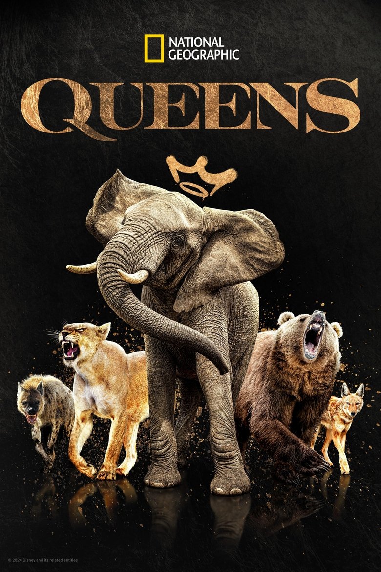 Cast and Crew in Queens - Behind the Queens (Season 1 - Episode 7) - Behind the Queens Poster of Cast and Crew in Queens - Behind the Queens (Season 1 - Episode 7) - Behind the Queens