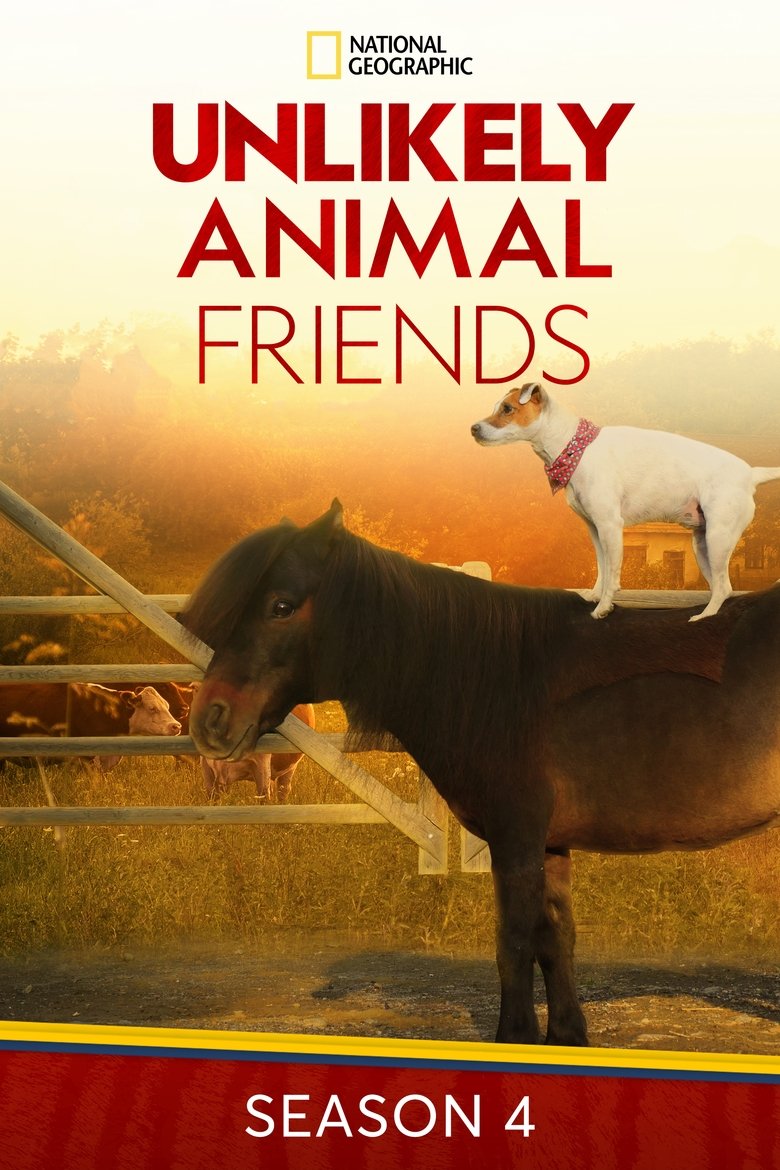 Episodes in Unlikely Animal Friends - Season 4 - Season 4 Poster of Episodes in Unlikely Animal Friends - Season 4 - Season 4