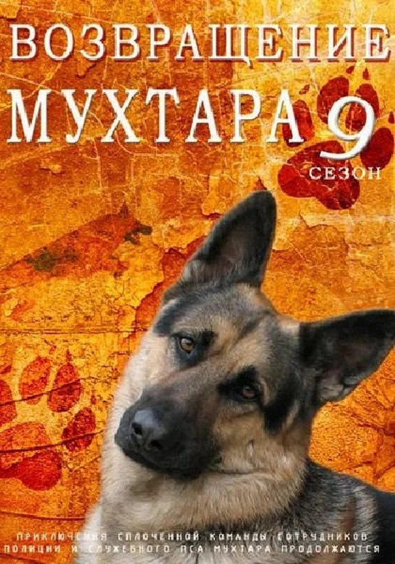 Episodes in Mukhtar's Return - Season 9 - Season 9 Poster of Episodes in Mukhtar's Return - Season 9 - Season 9