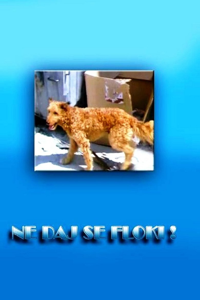 Don't Give in, Flockey! Poster of Don't Give in, Flockey!