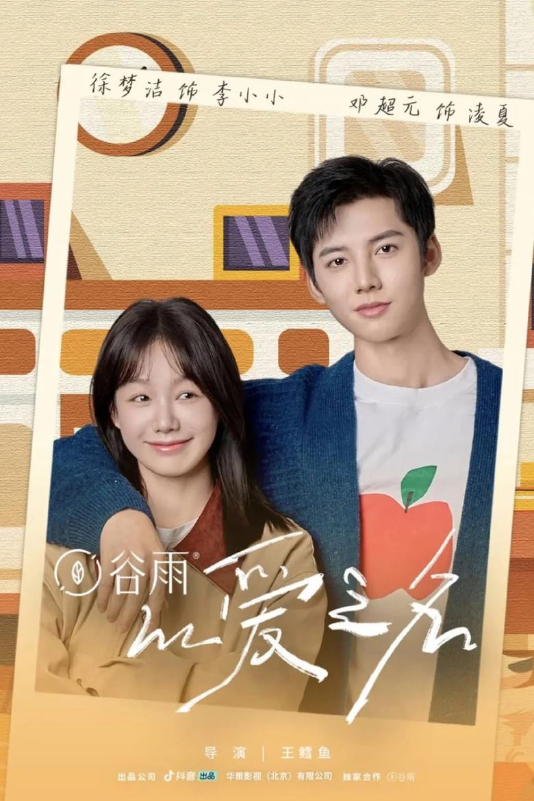 以爱之名 Poster of 以爱之名