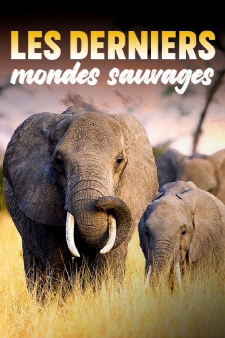 Episodes in Les Derniers Mondes Sauvages - Season 1 - Season 1 Poster of Episodes in Les Derniers Mondes Sauvages - Season 1 - Season 1