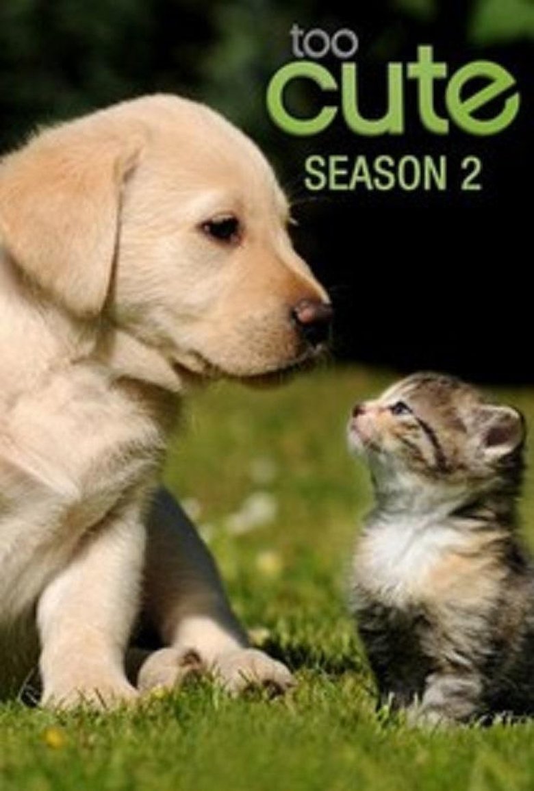 Cast and Crew in Too Cute - Extra Special Pets (Season 2 - Episode 9) - Extra Special Pets Poster of Cast and Crew in Too Cute - Extra Special Pets (Season 2 - Episode 9) - Extra Special Pets