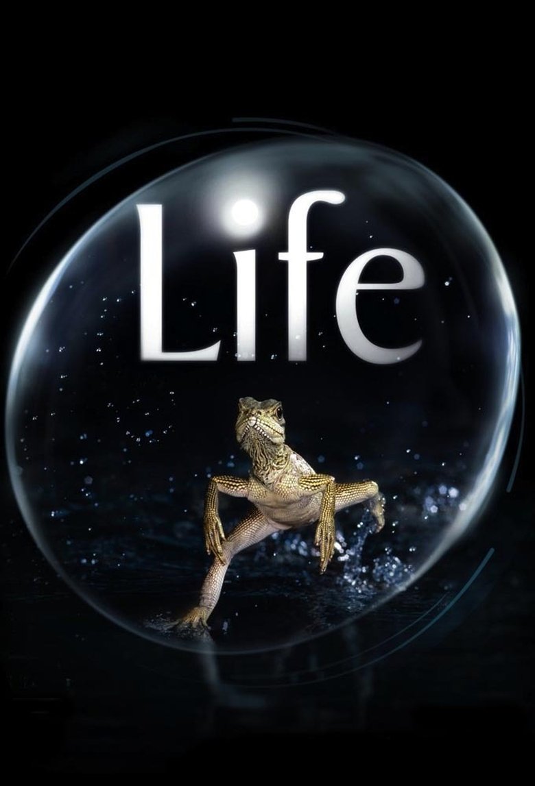 Episodes in Life - Season 1 - Season 1 Poster of Episodes in Life - Season 1 - Season 1