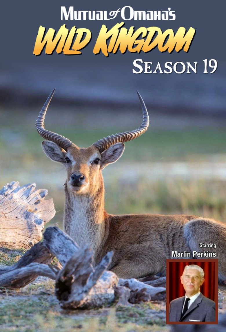 Episodes in Mutual Of Omaha's Wild Kingdom - Season 19 - Season 19 Poster of Episodes in Mutual Of Omaha's Wild Kingdom - Season 19 - Season 19