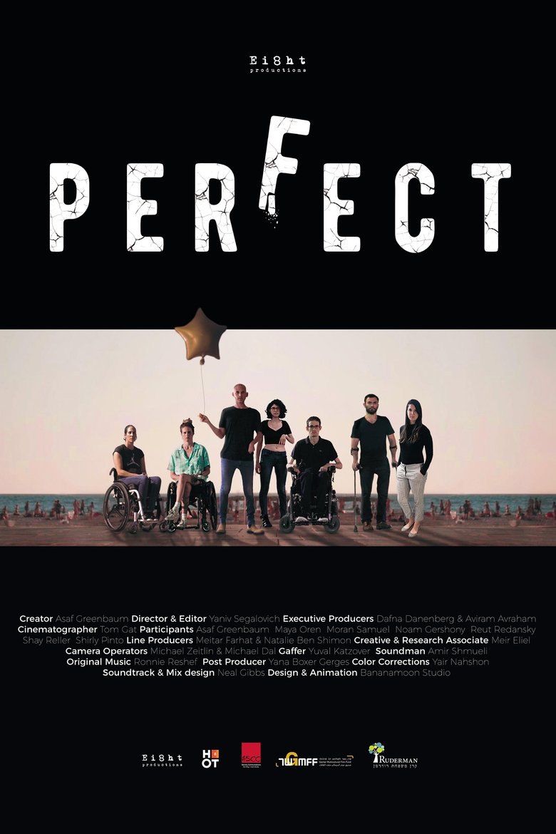 Perfect Poster of Perfect
