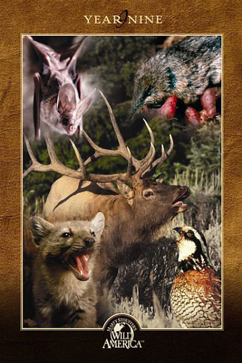 Episodes in Marty Stouffer's Wild America - Season 9 - Season 9 Poster of Episodes in Marty Stouffer's Wild America - Season 9 - Season 9