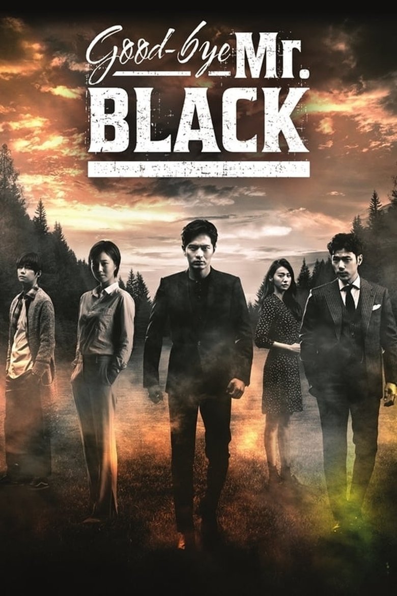 Episodes in Goodbye Mr. Black - Season 1 - Season 1 Poster of Episodes in Goodbye Mr. Black - Season 1 - Season 1