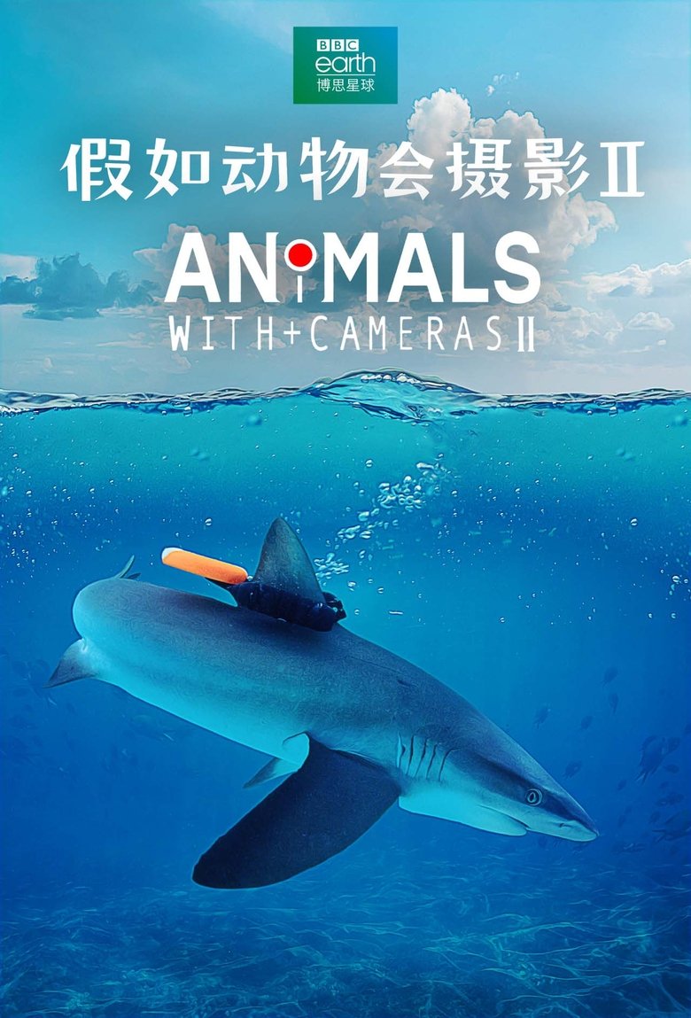 Episodes in Animals With Cameras - Season 2 - Season 2 Poster of Episodes in Animals With Cameras - Season 2 - Season 2