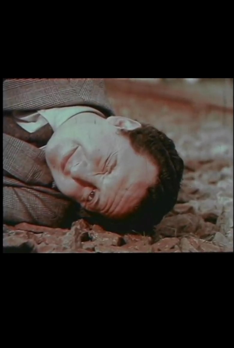 Vida, pasión y muerte de un realizador iracundo Poster of Vida, pasión y muerte de un realizador iracundo