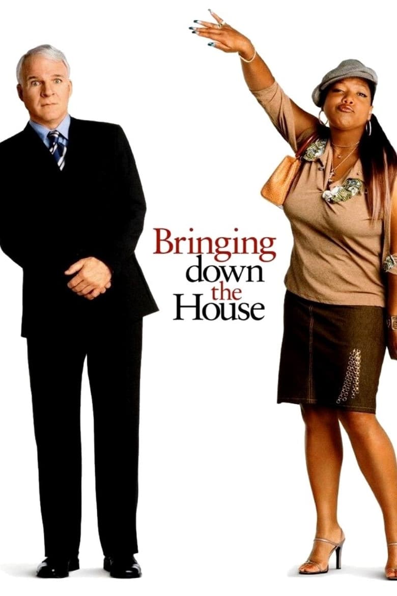 Poster of Bringing Down the House