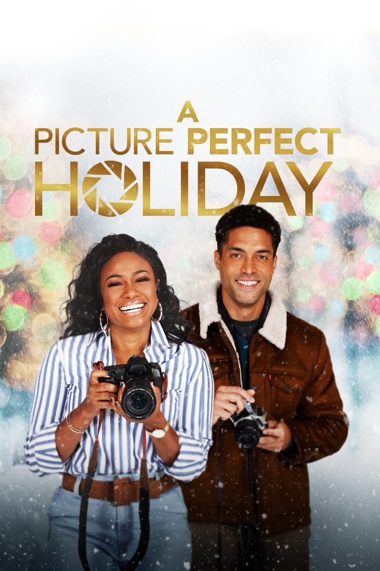 A Picture Perfect Holiday Poster of A Picture Perfect Holiday