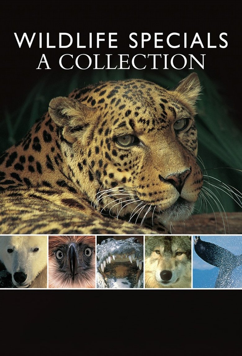 Wildlife Specials Poster of Wildlife Specials