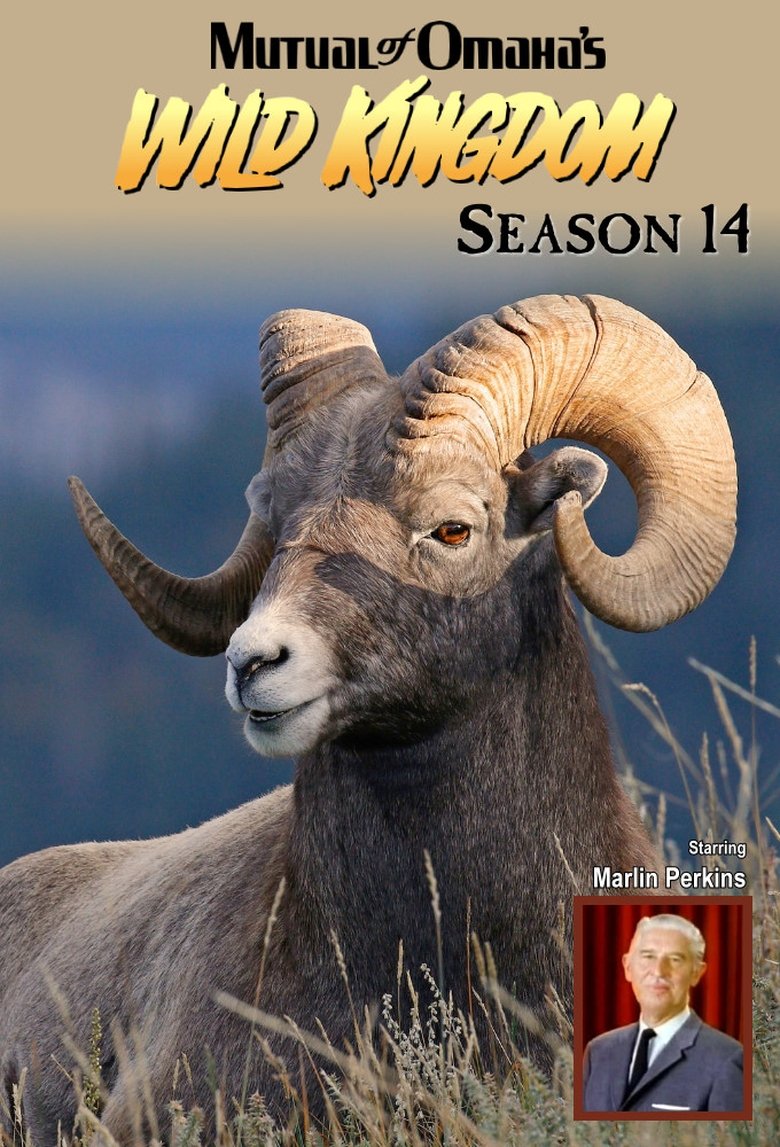 Episodes in Mutual Of Omaha's Wild Kingdom - Season 14 - Season 14 Poster of Episodes in Mutual Of Omaha's Wild Kingdom - Season 14 - Season 14