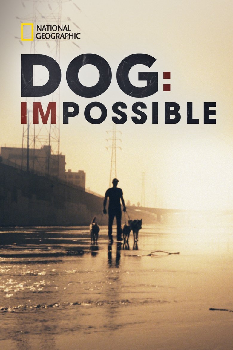 Episodes in Dog Impossible - Season 1 - Season 1 Poster of Episodes in Dog Impossible - Season 1 - Season 1