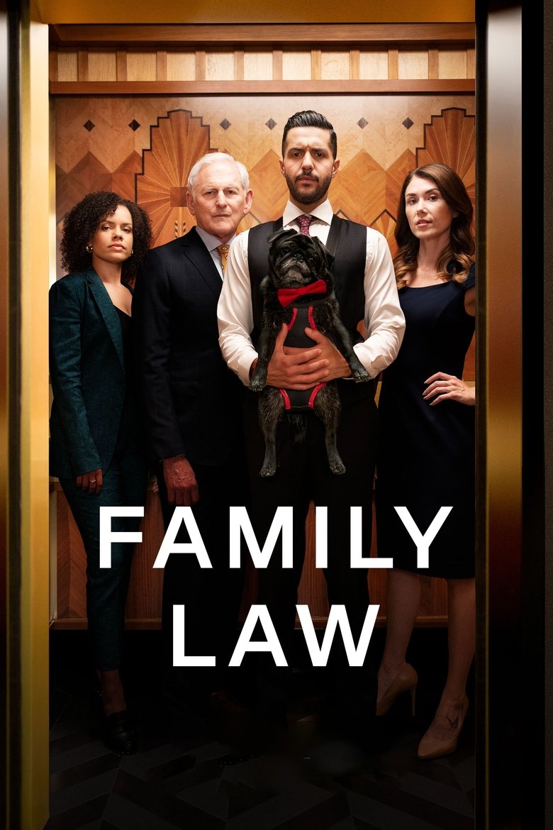 Episodes in Family Law - Season 4 - Season 4 Poster of Episodes in Family Law - Season 4 - Season 4