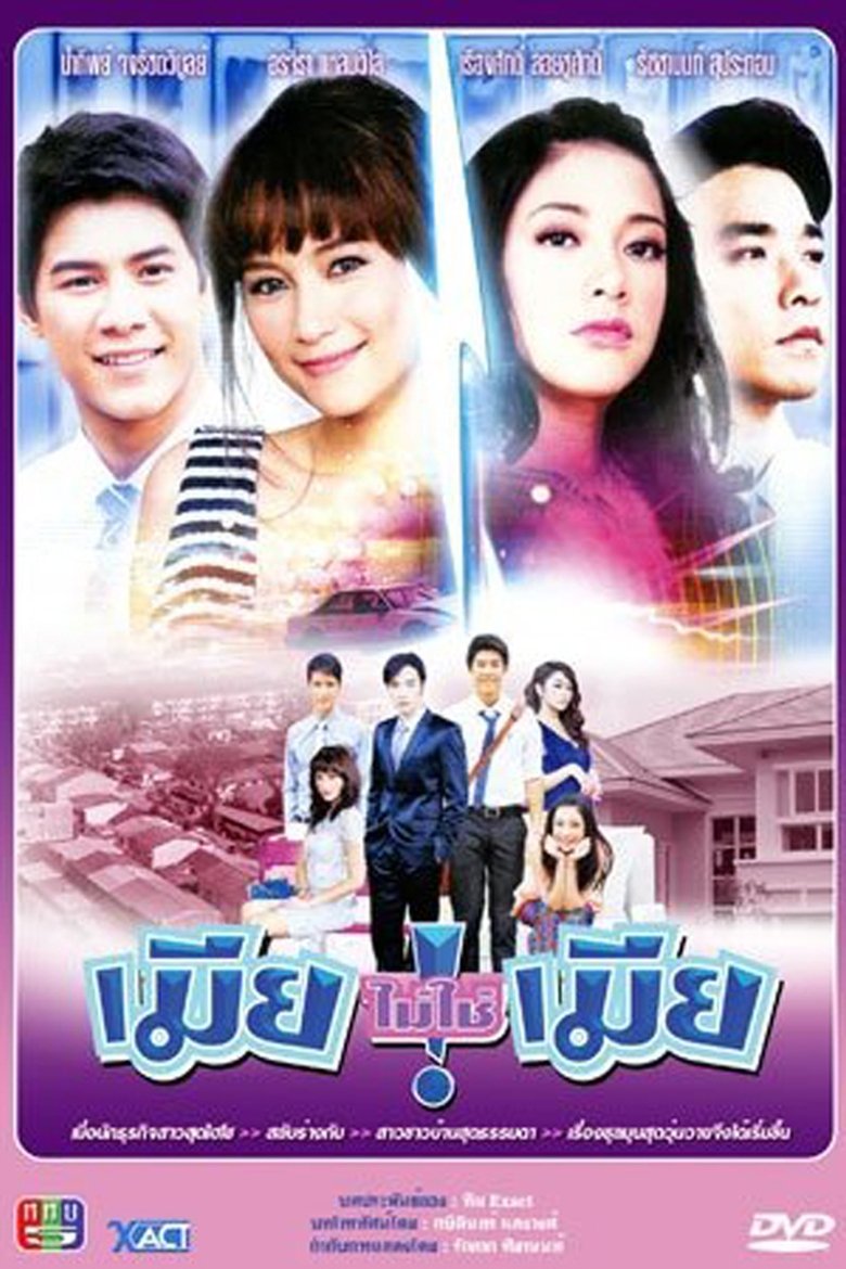 Wife, Not My Wife Poster of Wife, Not My Wife