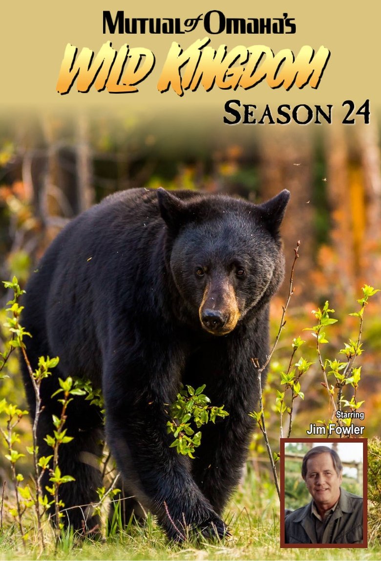 Episodes in Mutual Of Omaha's Wild Kingdom - Season 24 - Season 24 Poster of Episodes in Mutual Of Omaha's Wild Kingdom - Season 24 - Season 24