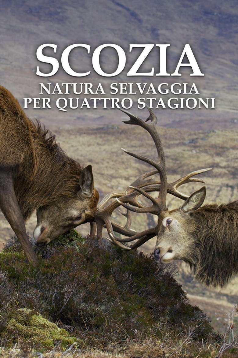 Scozia: natura selvaggia per quattro stagioni Poster of Scozia: natura selvaggia per quattro stagioni