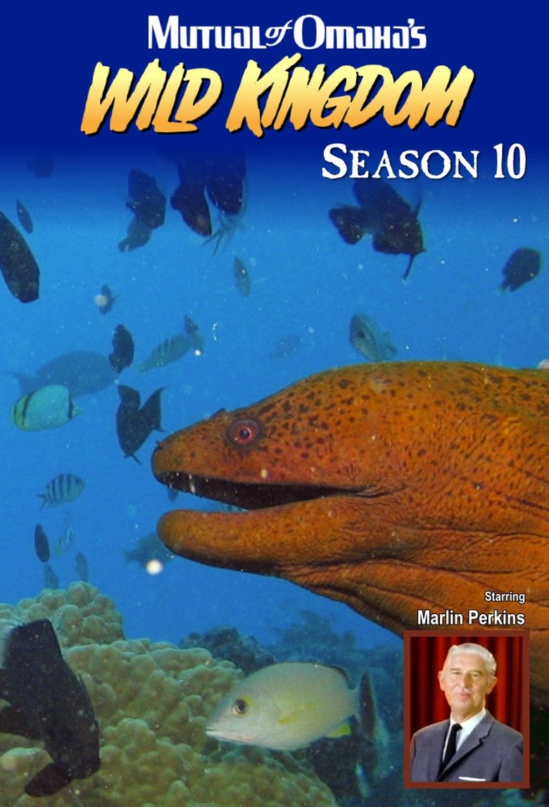 Episodes in Mutual Of Omaha's Wild Kingdom - Season 10 - Season 10 Poster of Episodes in Mutual Of Omaha's Wild Kingdom - Season 10 - Season 10