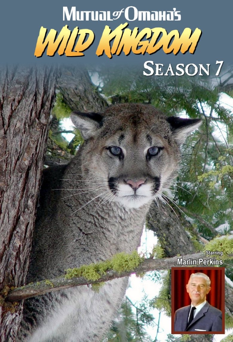 Episodes in Mutual Of Omaha's Wild Kingdom - Season 7 - Season 7 Poster of Episodes in Mutual Of Omaha's Wild Kingdom - Season 7 - Season 7