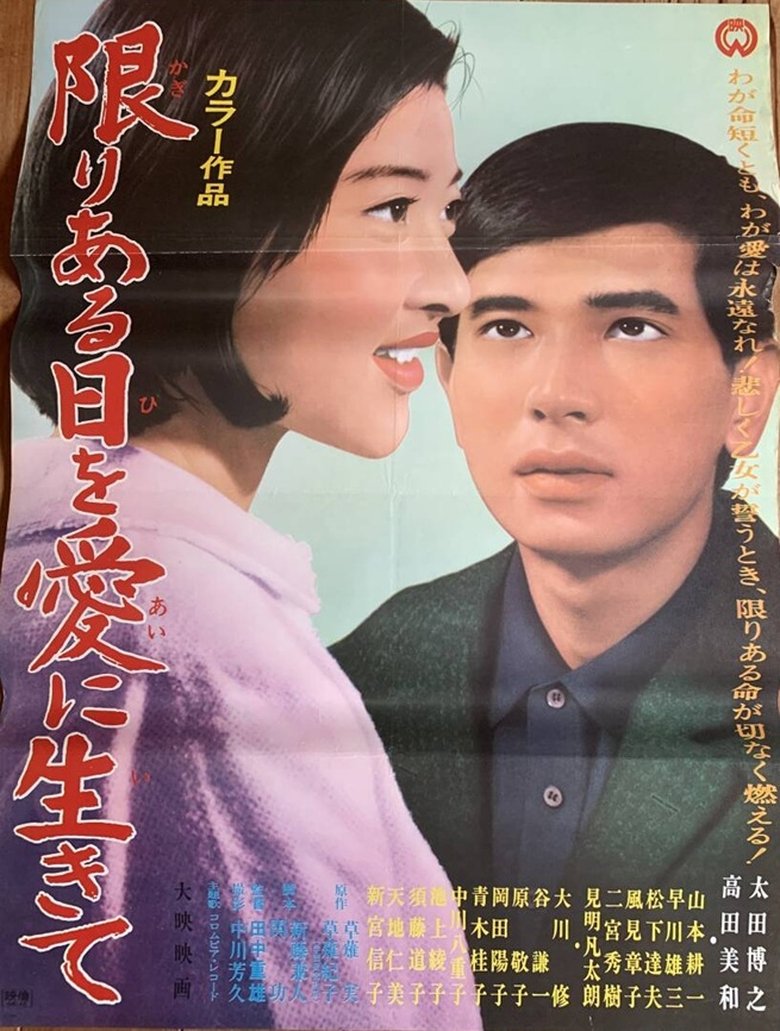 The Suitors Poster of The Suitors