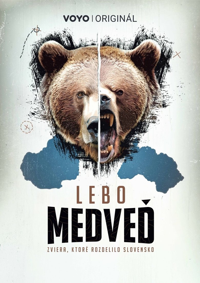 Lebo medveď Poster of Lebo medveď