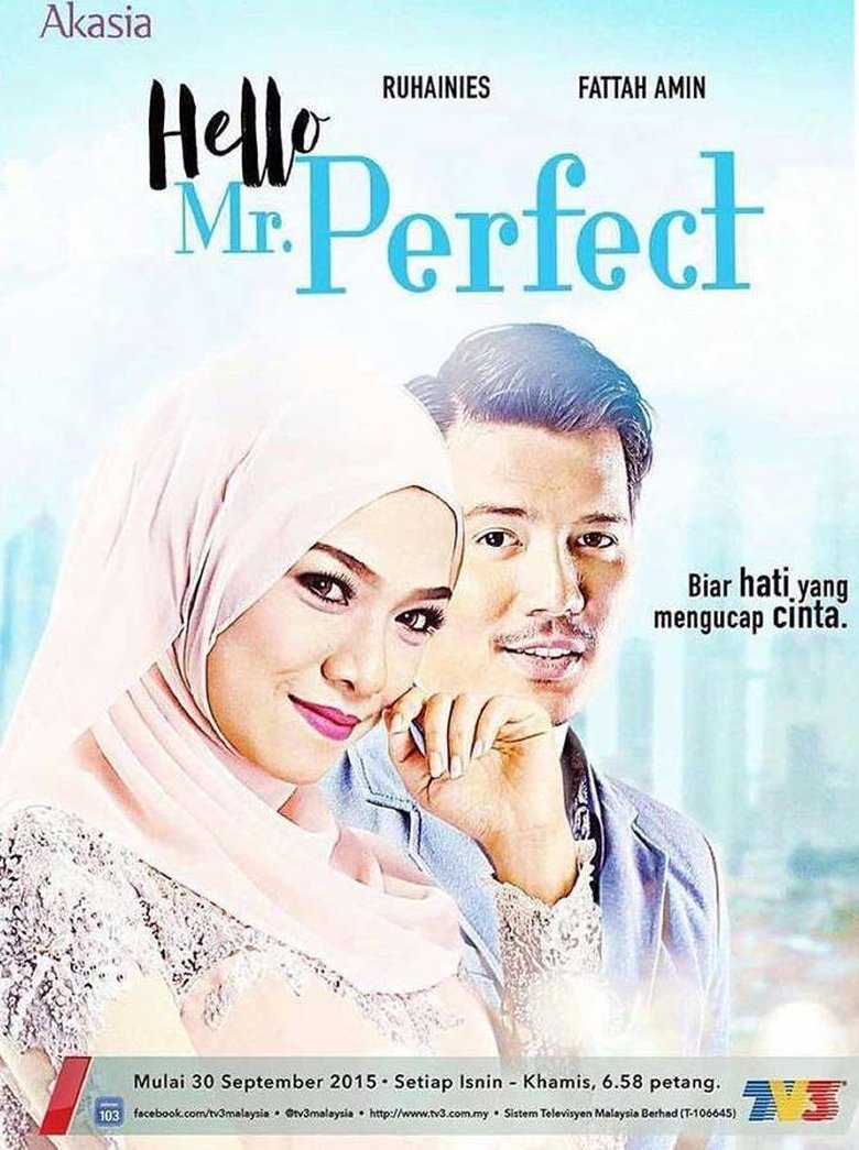 Hello, Mr. Perfect! Poster of Hello, Mr. Perfect!