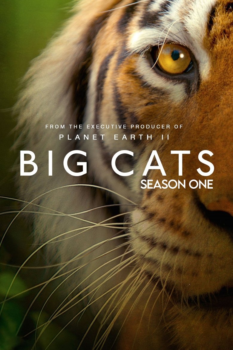 Cast and Crew in Big Cats - Episode 3 (Season 1 - Episode 3) - Episode 3 Poster of Cast and Crew in Big Cats - Episode 3 (Season 1 - Episode 3) - Episode 3