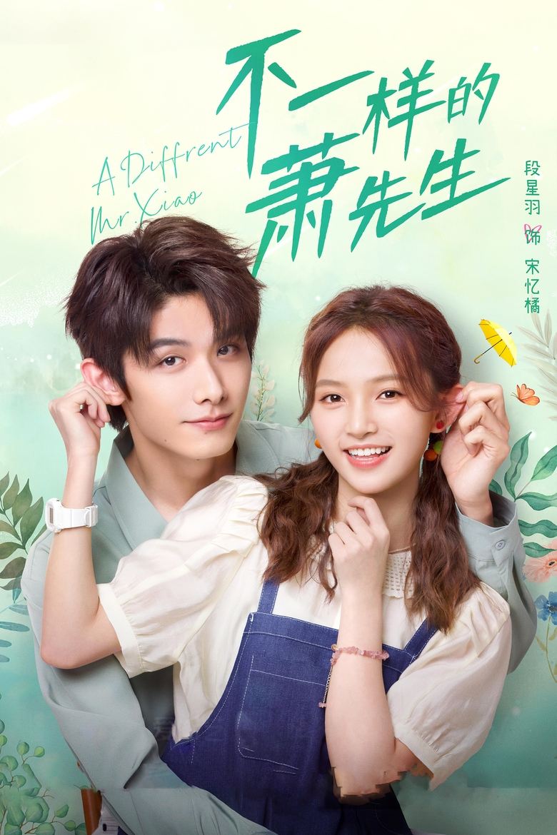 Episodes in A Different Mr. Xiao - Season 1 - Season 1 Poster of Episodes in A Different Mr. Xiao - Season 1 - Season 1