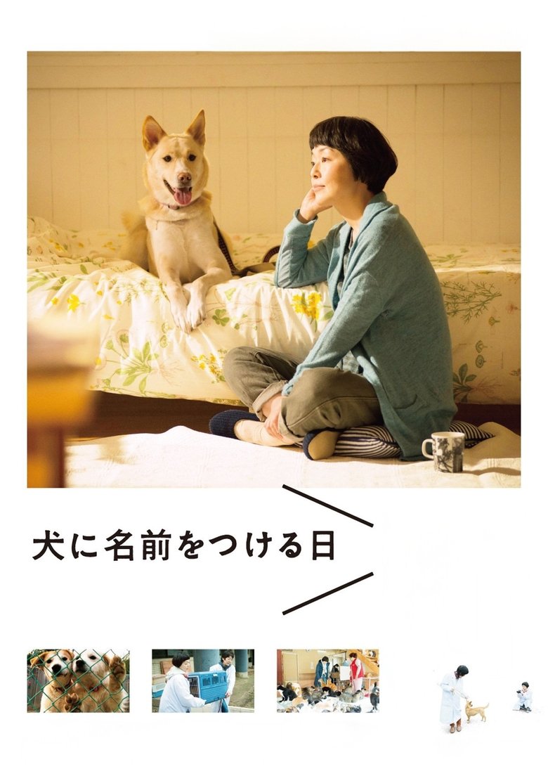Dogs Without Names Poster of Dogs Without Names