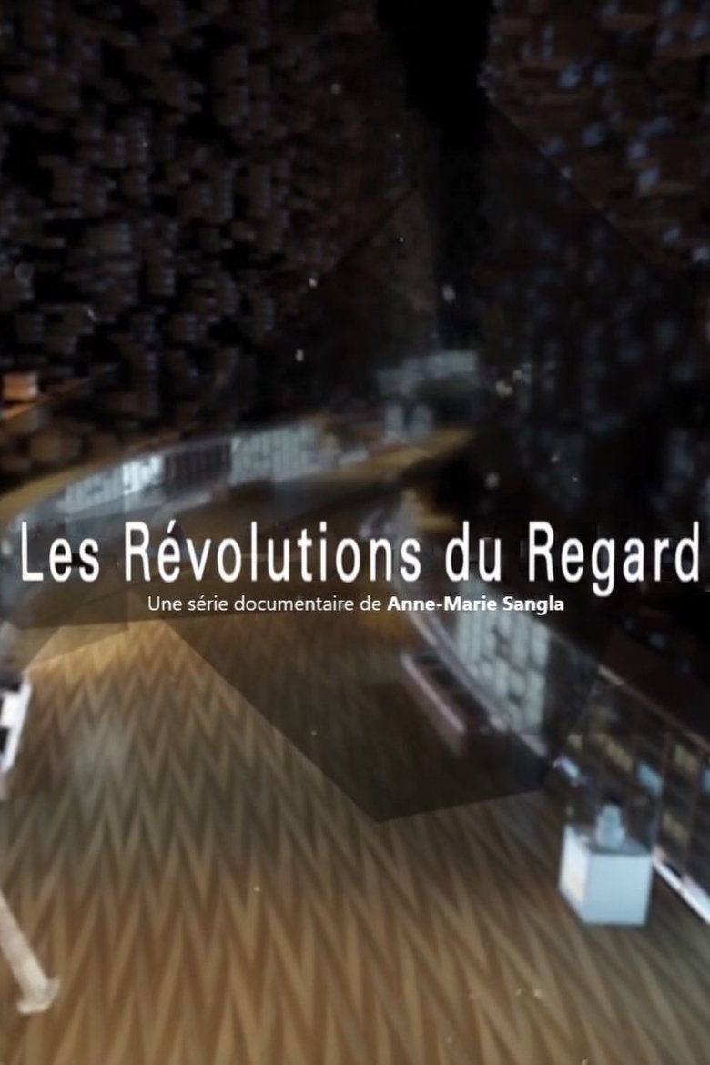 Les révolutions du regard Poster of Les révolutions du regard