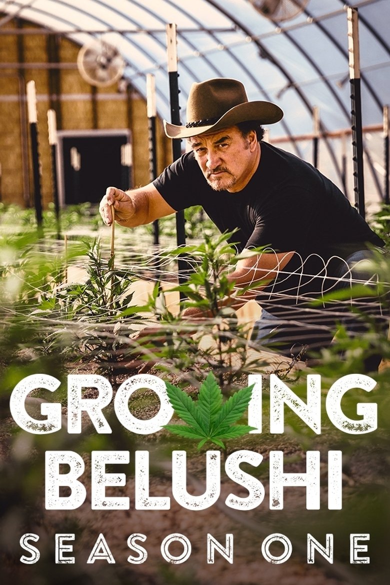 Episodes in Growing Belushi - Season 1 - Season 1 Poster of Episodes in Growing Belushi - Season 1 - Season 1