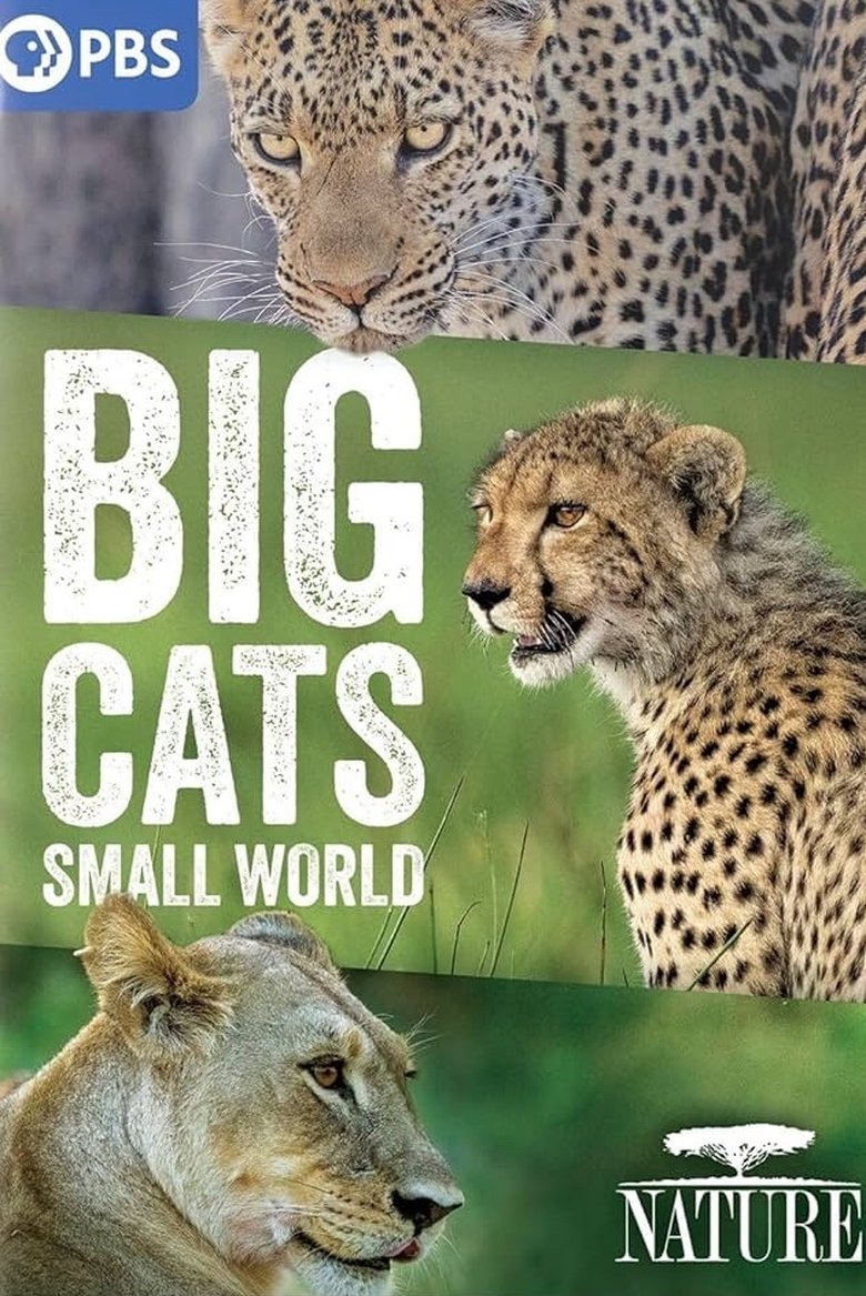 Episodes in Big Cats, Small World - Season 1 - Season 1 Poster of Episodes in Big Cats, Small World - Season 1 - Season 1