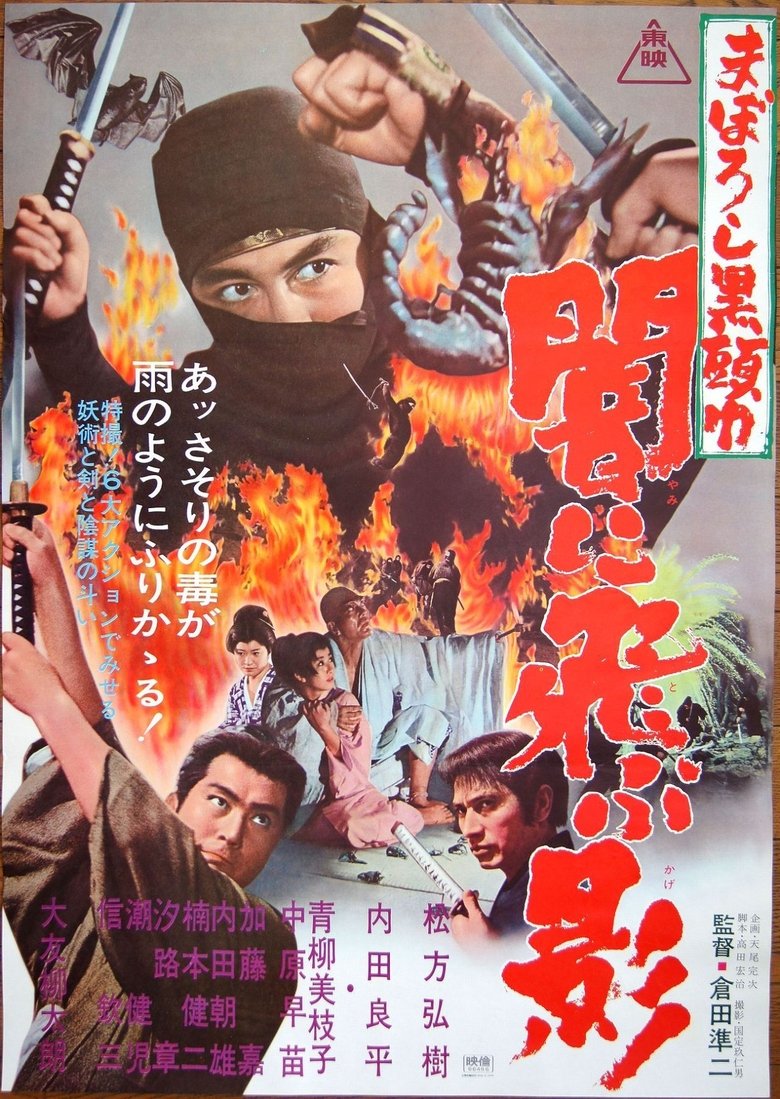 Black Ninja Poster of Black Ninja