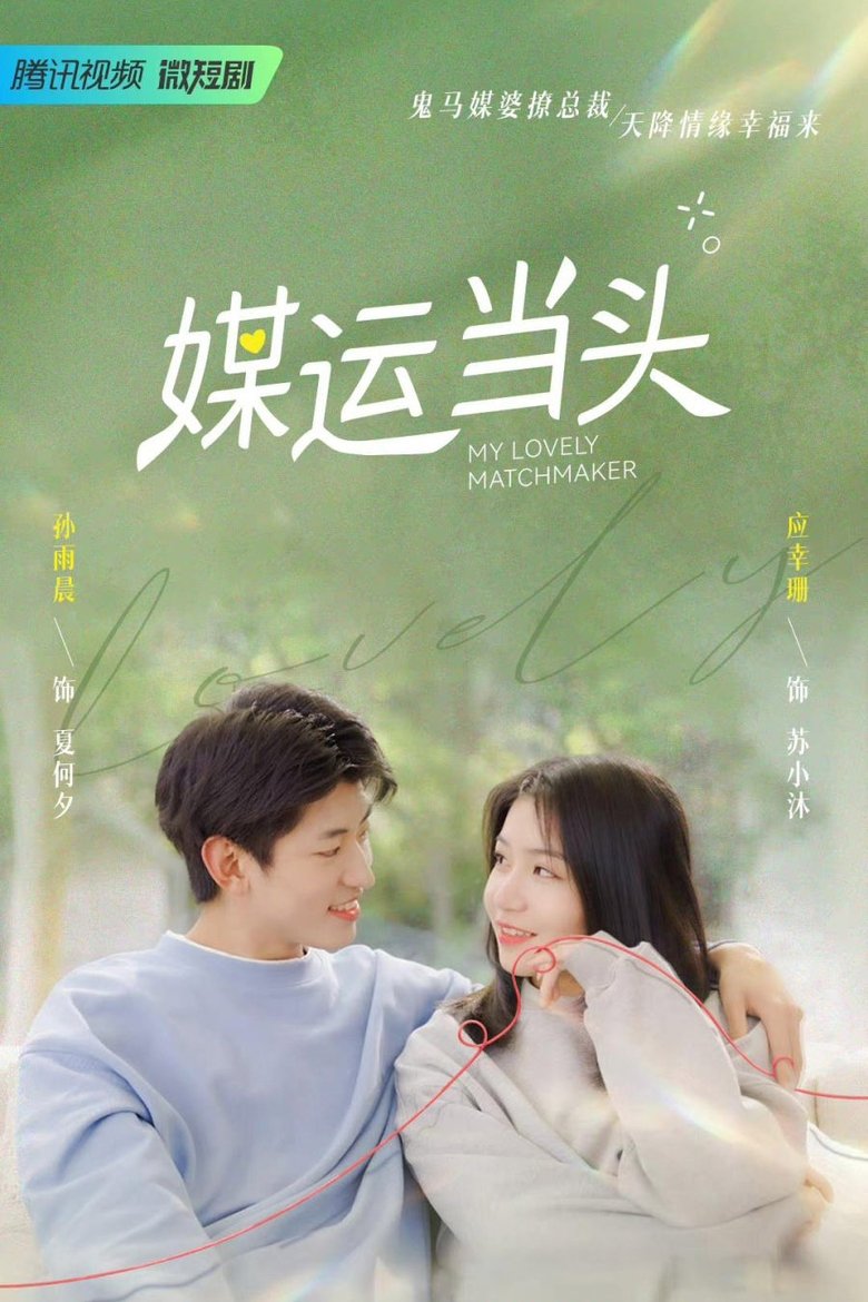 My Lovely Matchmaker Poster of My Lovely Matchmaker