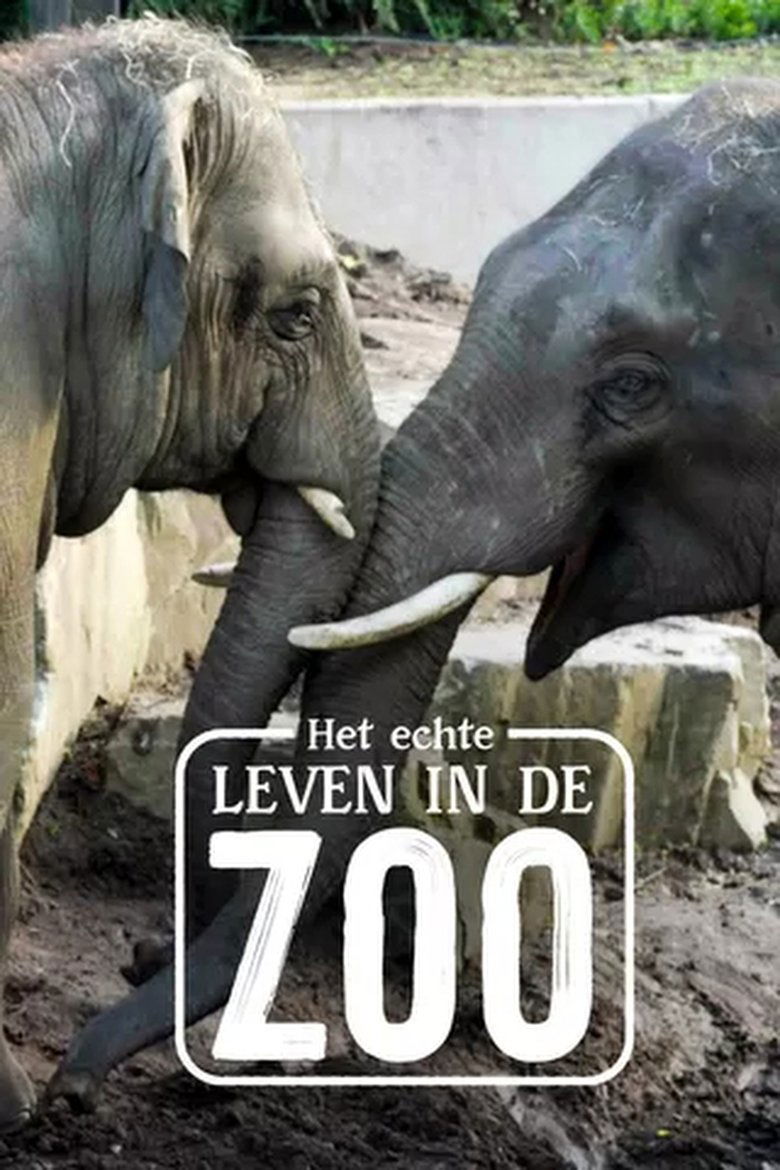 Episodes in Het Echte Leven In De ZOO - Season 1 - Season 1 Poster of Episodes in Het Echte Leven In De ZOO - Season 1 - Season 1