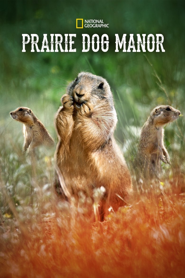 Episodes in Prairie Dog Manor - Season 1 - Season 1 Poster of Episodes in Prairie Dog Manor - Season 1 - Season 1