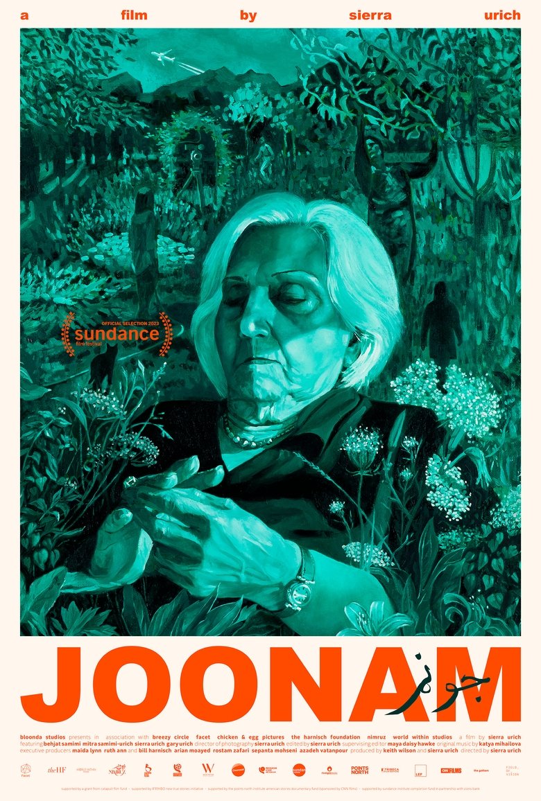 Joonam Poster of Joonam