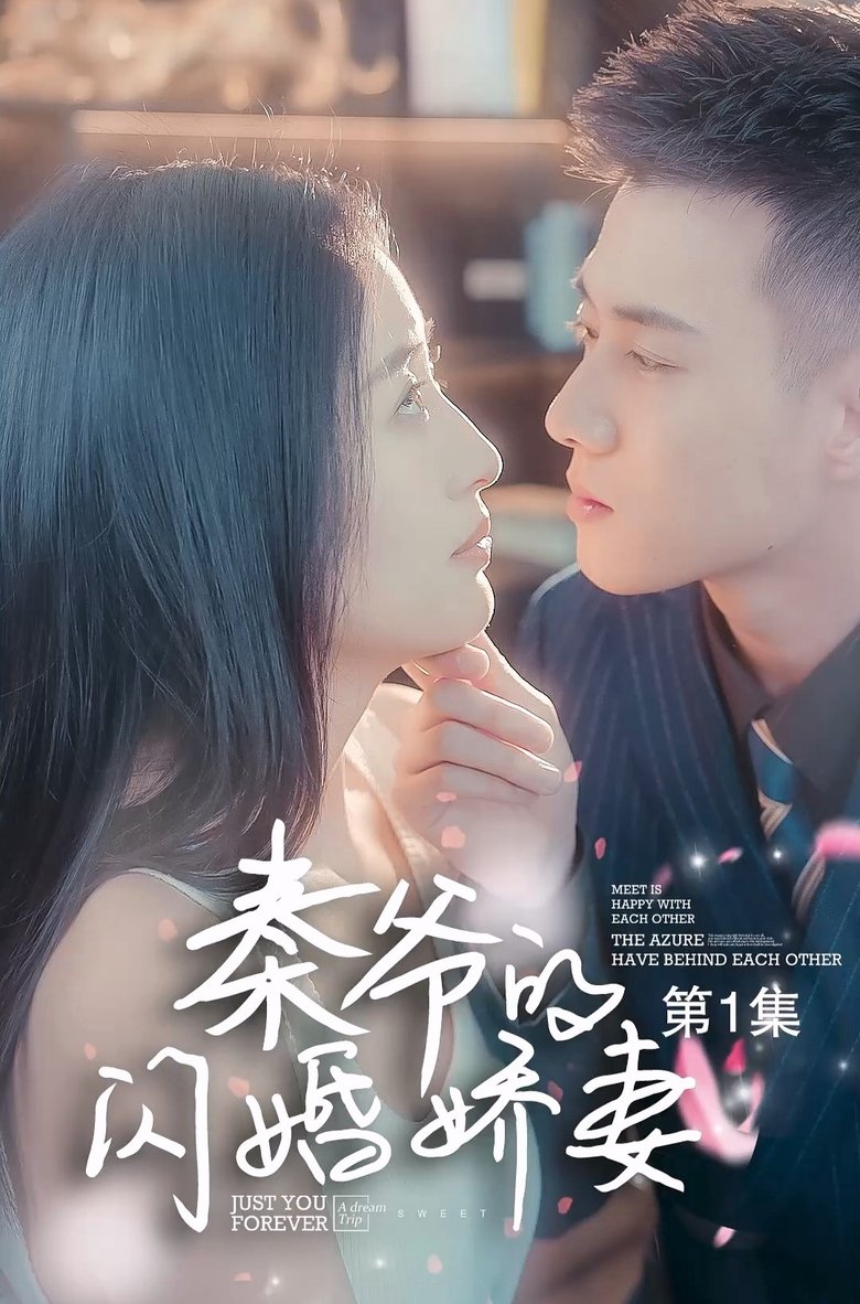 秦爷的闪婚娇妻 Poster of 秦爷的闪婚娇妻