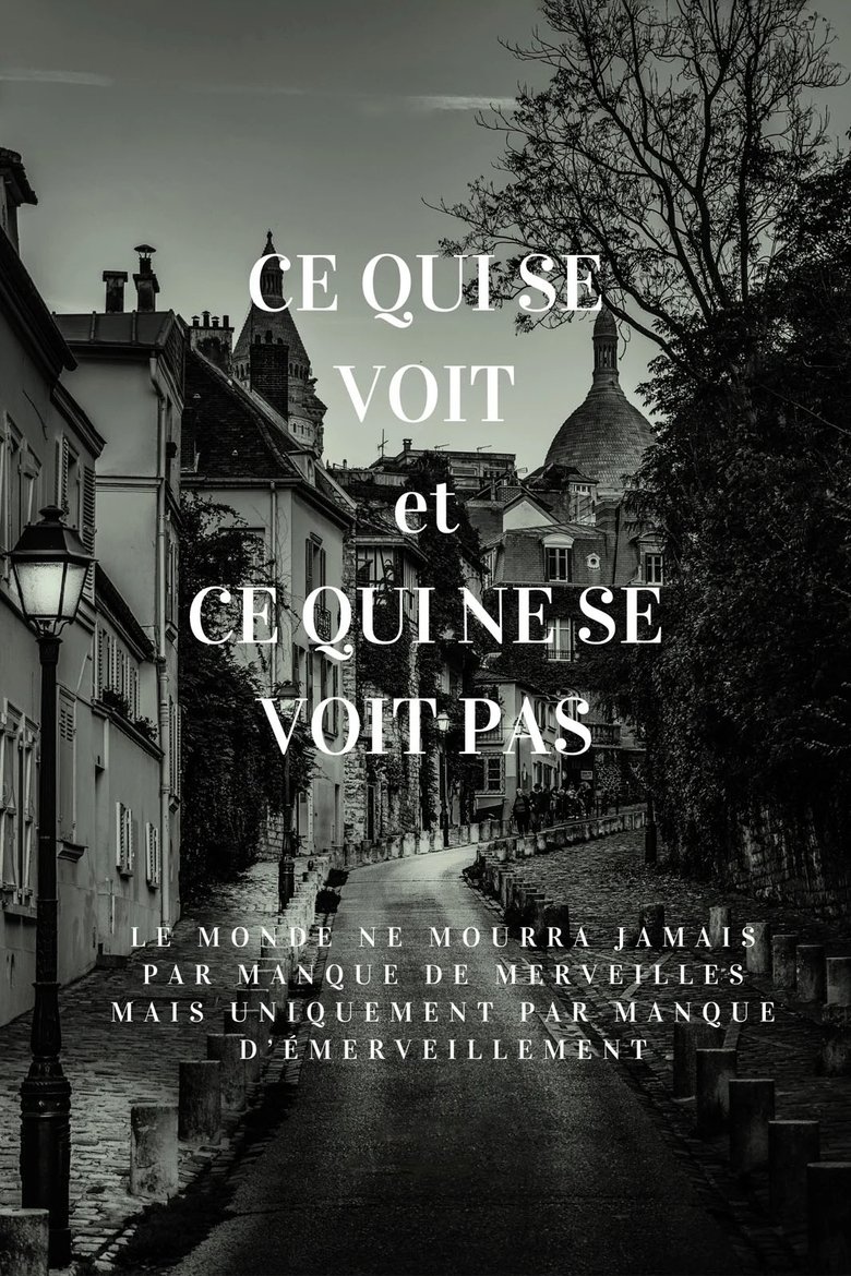 Ce qui se voit et ce qui ne se voit pas Poster of Ce qui se voit et ce qui ne se voit pas