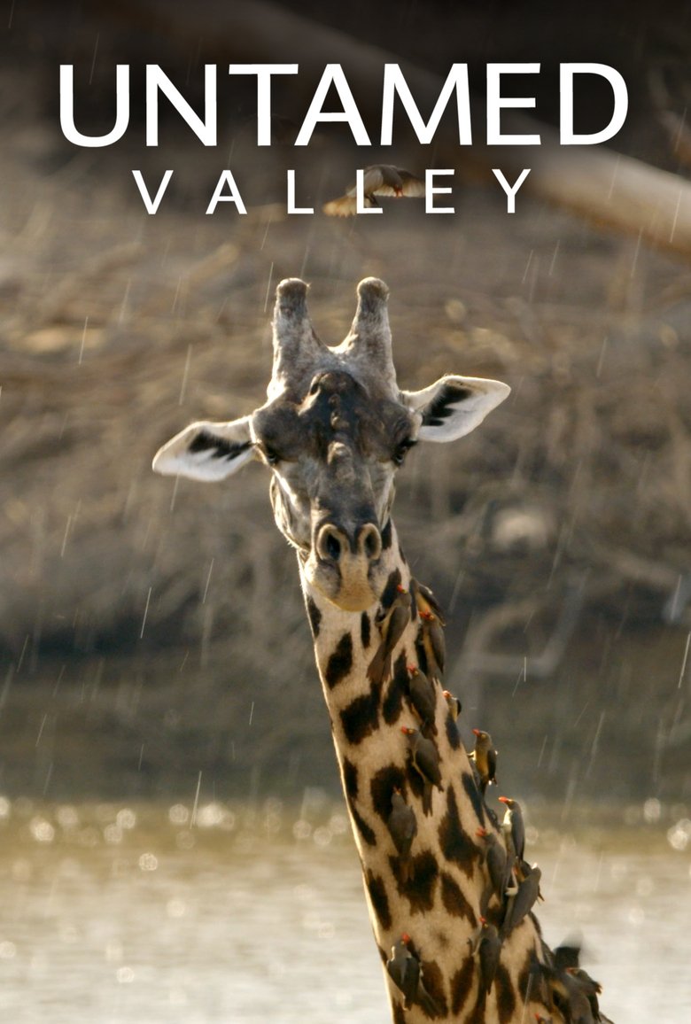 Untamed Valley Poster of Untamed Valley
