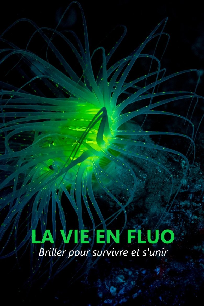 La vie en fluo Poster of La vie en fluo